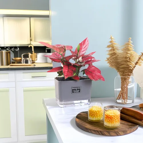 Miniatura 3 de FAMZ Macetas de autorriego para plantas de exterior, paquete de 4, adecuadas para plantas y flores de jardín de interior y exterior, caja de maceta