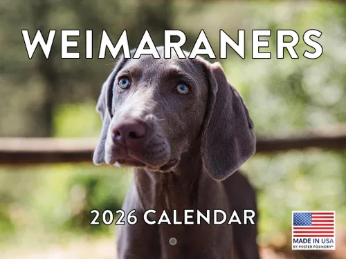 Miniatura 64 de Calendario de pared mensual 2025 Great Dane de 12 meses, fabricado en Estados Unidos