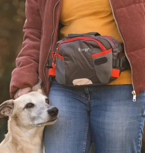 Miniatura 6 de iEnergy™ Cinturón PAT para dueños de perros, bolsa duradera para pasear perros, Verde, Talla única