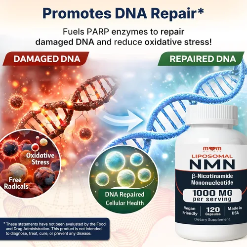 Miniatura 5 de NMN Supplement 1000 mg Mononucleótido de nicotinamida pura – Precursor de NAD para energía, renovación celular y soporte de longevidad – Soporte