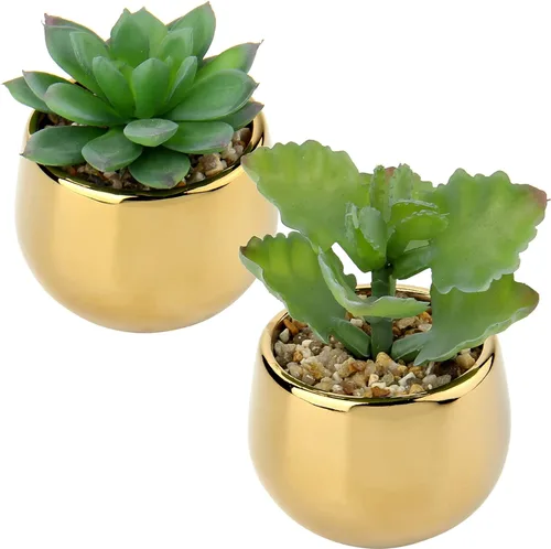 Briful Pequeñas suculentas artificiales en macetas, juego de 2 plantas suculentas realistas con macetas de cerámica doradas, lindas mini plantas