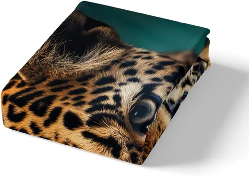 Miniatura 4 de Erosebridal Funda de edredón de leopardo, guepardo, funda de edredón de animales de sabana africana, juego de ropa de cama con estampado de leopardo