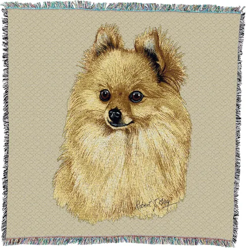 Miniatura 14 de Pure Country Weavers Cavalier King Charles Spaniel - Manta cuadrada de regazo de Robert May - Grupo de juguetes - Regalo para los amantes