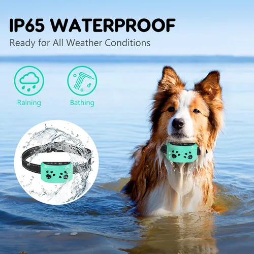 Miniatura 8 de Collar Antiladridos para Perros, Svtrat Collar Antiladridos Inteligente para Perros Pequeños, Medianos y Grandes con 4 Modos de Entrenamiento y 7