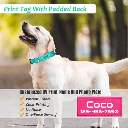Miniatura 3 de Collar de perro de nailon reflectante personalizado con nombre y número de teléfono personalizados, 5 tamaños y 3 fuentes, acolchado de neopreno