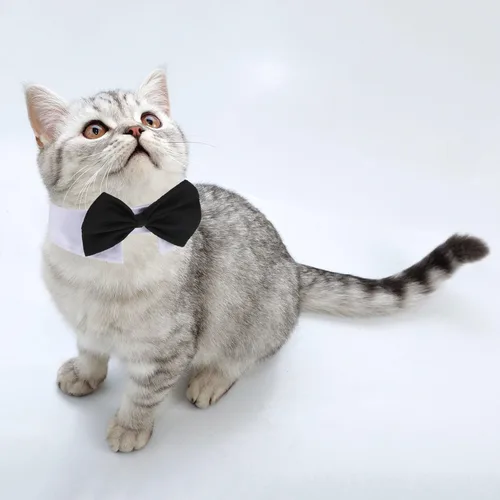 Miniatura 4 de Shappy - 3 piezas de corbatín ajustable para gatos, corbatín para boda, disfraz de mascota, corbata de moño, collar de esmoquin para perros