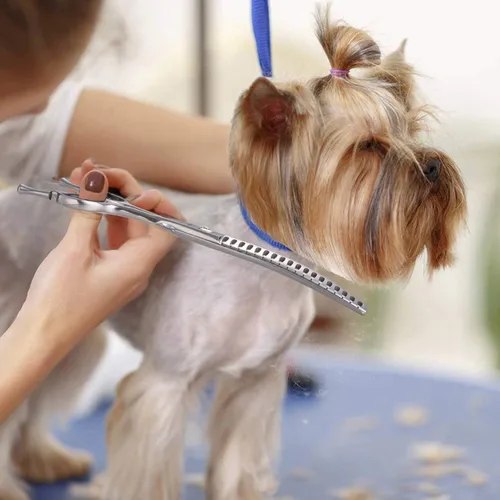 Miniatura 7 de PURPLEBIRD Tijeras curvadas hacia abajo de 6.5 pulgadas para el aseo de perros para mascotas, tijeras de seguridad profesional, punta roma, corte