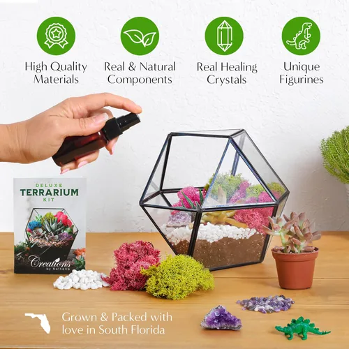 Miniatura 5 de Creations by Nathalie – Kit premium pequeño de terrario DIY para suculentas, cactus y plantas de aire, incluye tierra, musgo, piedras, herramientas