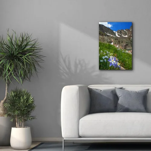 Miniatura 8 de Epic Graffiti 'Alpine Columbine - Parque Nacional de las Montañas Rocosas' por Darren White, arte de pared giclée, 18 x 26 pulgadas