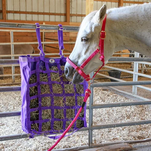 Miniatura 5 de Majestic Ally Cabestro con cuerda de plomo para caballos, barbilla ajustable y corona, pestillo de garganta enrollado con broche reemplazable, banda