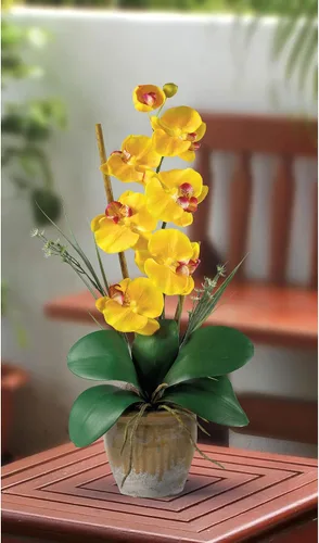 Miniatura 2 de Nearly Natural 1016-GY Phalaenopsis - Arreglo floral de orquídea de seda, amarillo, 9x6x21