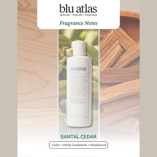 Miniatura 6 de Blu Atlas Champú natural para hombre – Orgánico, sin sulfatos ni parabenos – Limpieza profunda e hidratante – Aroma de cedro Santal – Hecho