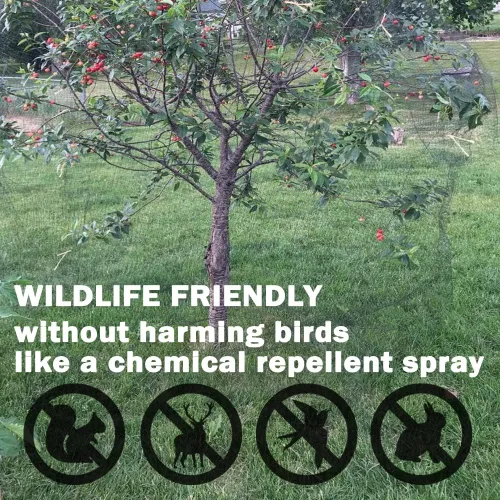 Miniatura 3 de Red para pájaros, red de jardín de 13 x 50 pies para árboles frutales, plantas, fresas, arándanos, arbustos, protección contra pájaros, ciervos