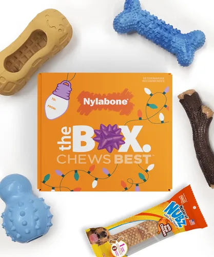 Miniatura 12 de Nylabone Caja de Regalo para Cachorros, Incluye 3 Fuertes Juguetes para Masticación de Cachorros y 1 Hueso de Golosina Natural para Cachorros