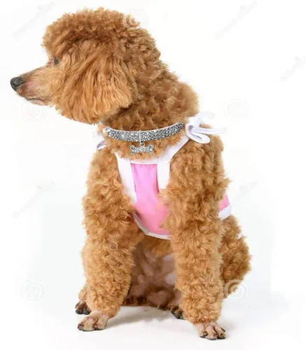 Miniatura 4 de Collar para mascotas con diamantes, colgante de hueso elástico de diamante de cristal ajustable para boda, gato y perro, collar pequeño