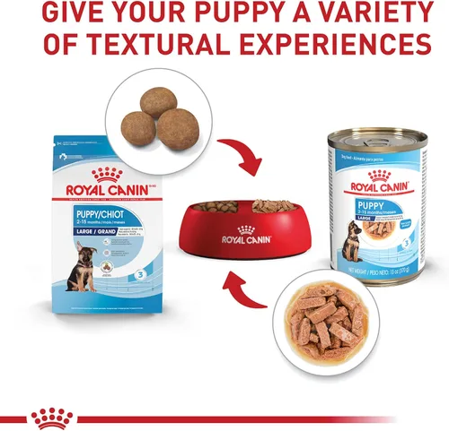 Miniatura 5 de Royal Canin Size Health Nutrition - Alimento para perros grandes en rodajas finas en salsa, 13 onzas (paquete de 6)
