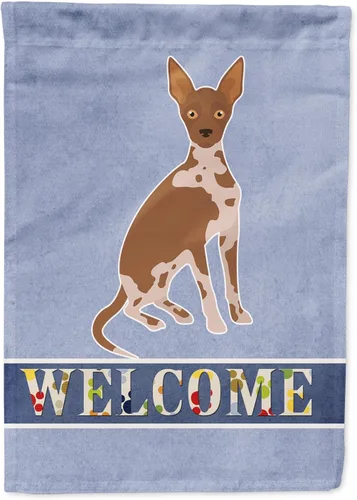 Miniatura 105 de Caroline's Treasures CK3647CHF - Bandera de bienvenida con diseño de bulldog francés, manga grande, para porche, para colgar en la pared, poliéster