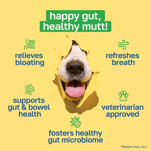 Miniatura 2 de Happy Paws Apoyo probiótico para la salud intestinal para perros, masticables suaves con probióticos, semillas de calabaza, batata, hinojo, aceite