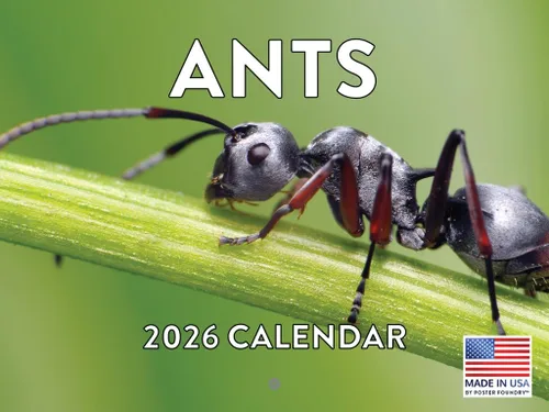 Miniatura 105 de Calendario alpaca 2026, calendario mensual de pared de 12 meses Hecho en Estados Unidos.