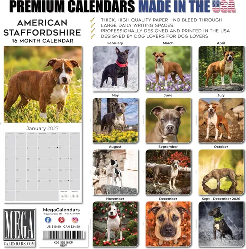 Miniatura 7 de Calendario 2025 2026 de American Staffordshire Terrier – Calendario mensual de pared de raza de perro – 12" x 24" abierto – Papel grueso sin
