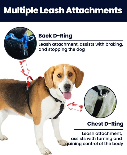 Miniatura 4 de Arnés para perro no restrictivo, fácil libertad de caminar, arnés sin tirones, mantiene el equilibrio, hebilla de cuello, ajuste de seis puntos, 2