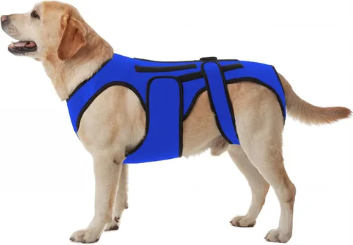 Miniatura 12 de Soporte de espalda para perros con artritis, soporte de espalda de movilidad IVDD para mascotas, fuerte apoyo de estabilidad de la columna vertebral