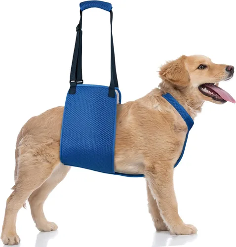 Miniatura 5 de Arnés ajustable de elevación para perros con correa de fijación, arnés de elevación para perros, soporte de pierna trasera, arnés de rehabilitación