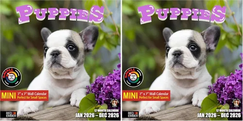 Miniatura 45 de RED EMBER Calendario de pared 2025 con diseño de cachorros de 12 meses, 12 x 24 pulgadas, abierto, papel grueso y resistente, para regalo