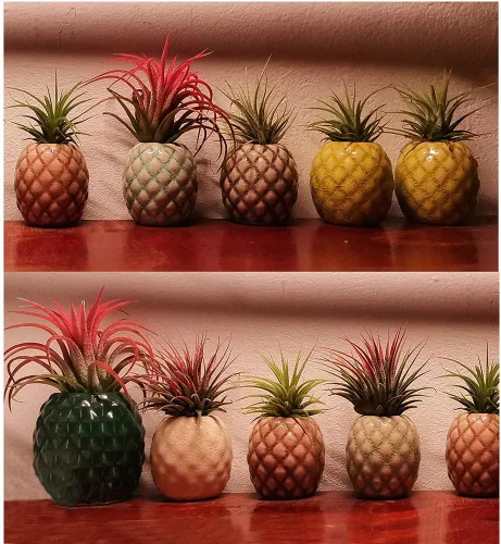 Miniatura 4 de Paquete de 4 soportes únicos para plantas de aire, lindo soporte de pared para plantas de aire de piña, soportes de cerámica Tillandsia para plantas