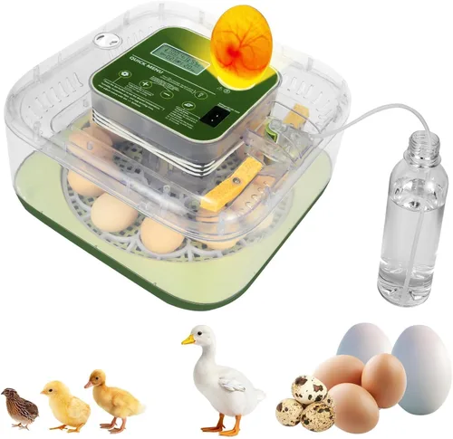 Miniatura 17 de Incubadora de 24 huevos para eclosión con volteador automático, control inteligente de temperatura y humedad, visualización de 360°, ovoscopio