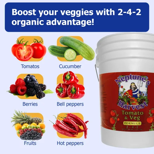 Miniatura 3 de Neptune's Harvest Fertilizante orgánico para plantas de tomate y verduras (2-4-2) – Alimento líquido para plantas con pescado fresco, algas marinas