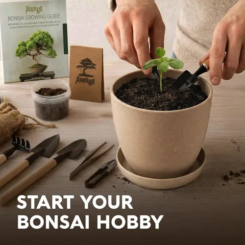 Miniatura 13 de Kit de inicio de Bonsái – Cultivo de Jacaranda Bonzai Kit completo de árbol interior para cultivar plantas con herramientas y maceta – Regalos