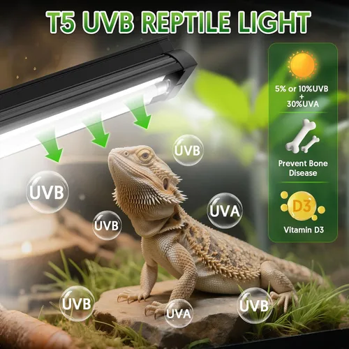 Miniatura 3 de QZQ T5 UVB - Kit combinado de luces para reptiles de 8 W, luz UVB para reptiles con salida UVB conmutable 5.0 y 10.0, lámpara de campana de terrario