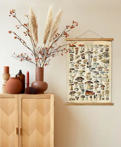 Miniatura 7 de Ovfovy Póster vintage de hongos con marco de madera, estilo retro de pintura botánica de pared, póster de tabla de referencia ilustrativa para sala