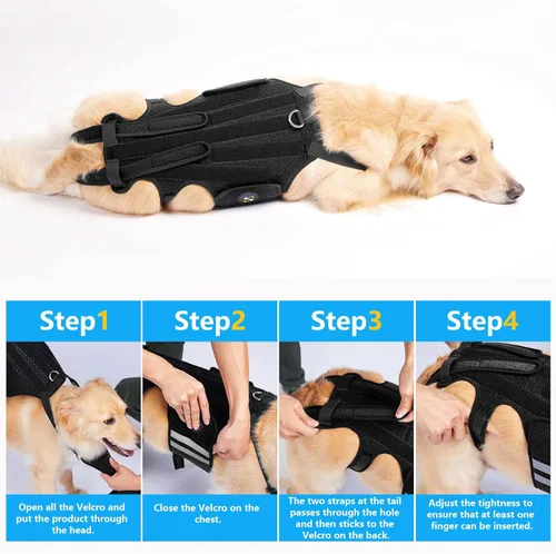 Miniatura 8 de Coodeo Soporte de espalda para perros para artritis, soporte de espalda para mascotas para IVDD, protector de espalda ayuda a aliviar el dolor, Negro