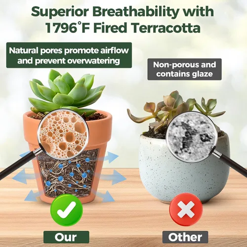 Miniatura 4 de T4U Mini macetas de terracota (36 piezas): macetas pequeñas de arcilla de 2 pulgadas con orificios de drenaje, ideales para plantas de cactus