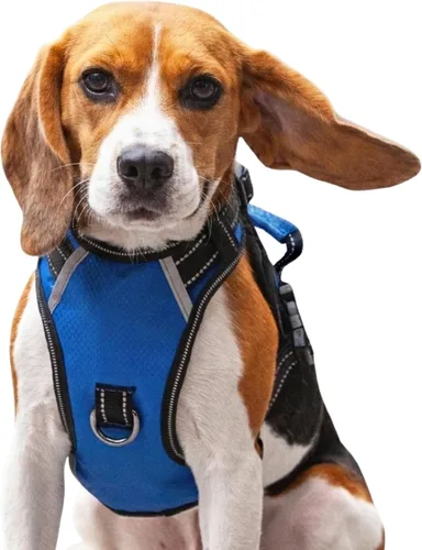 Miniatura 27 de Arnés antitirones para perro pequeño con 2 hebillas de liberación rápida y mango de fácil control, chaleco suave reflectante sin estrangulamiento