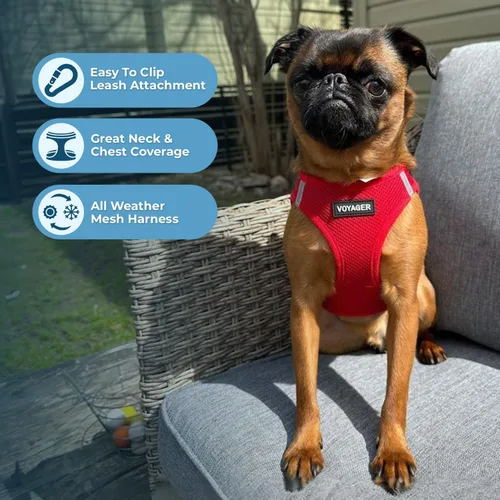 Miniatura 109 de Best Pet Supplies Voyager Step-in Air Arnés – Malla para todo clima, reflectante, arnés antitirones para perros y gatos, seguro con cierre de gancho