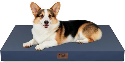 Miniatura 80 de Cama ortopédica de felpa para perros y cachorros medianos, camas impermeables para perros de 30 x 20 pulgadas con funda extraíble lavable, tapete
