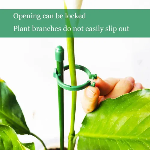 Miniatura 2 de Belit Paquete de 8 estacas de soporte para plantas pequeñas, estacas ajustables de soporte de un solo tallo para jardín, anillo de soporte