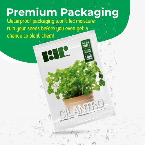 Miniatura 4 de Más de 500 semillas de cilantro para plantar - Semillas de hierbas autóctonas sin OMG cultivadas en EE. UU. en embalaje protector premium - También