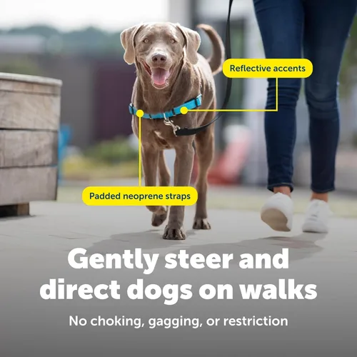 Miniatura 5 de PetSafe Arnés Deluxe Easy Walk – Arnés de pecho para perro de confianza del entrenador con diseño de bucle martingala transpirable – Ayuda a dejar