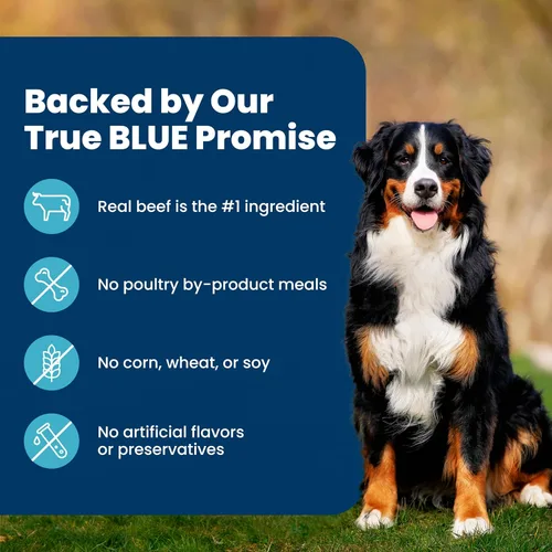 Miniatura 6 de Blue Buffalo Life Protection Formula Alimento Seco para Perros Adultos, Ayuda a Construir y Mantener Músculos Fuertes, Hecho con Ingredientes