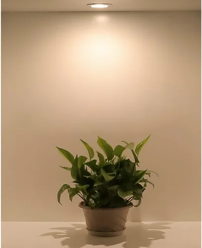 Miniatura 3 de Paquete de 10 mini 3W Mini LED Spot Light Negro Empotrable LED Luz de techo para el armario del hogar negro (black-10 por paquete)