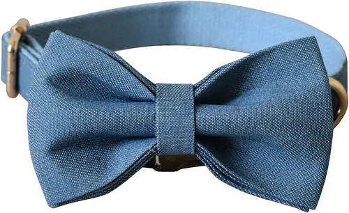 Miniatura 3 de Collares personalizados para cachorros, mascotas pequeñas, medianas y grandes con nombre y número de teléfono grabados (S, azul)