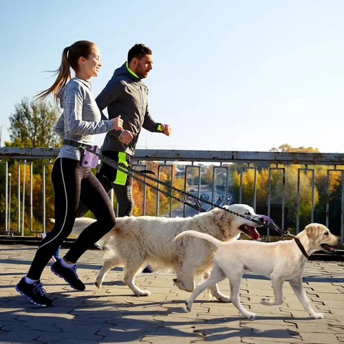Miniatura 7 de PetAmi Correa de perro con manos libres de alta calidad para 2 perros, correa de cinturón ajustable para pasear perros, riñonera con bolsa de Púrpura