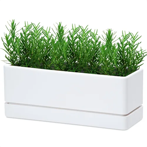 Miniatura 11 de D'vine Dev - Maceta para ventana de 12 pulgadas, maceta rectangular de plástico para hierbas con agujeros de drenaje y plato, maceta de suculentas