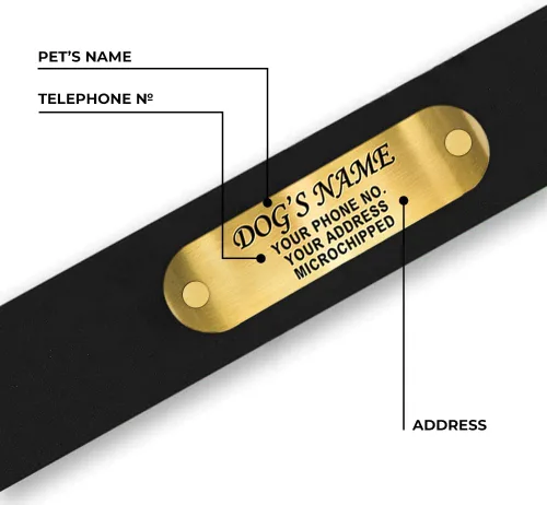 Miniatura 7 de Regal Dog Products Collares de perro pequeños negros impermeables con placa de nombre personalizada grabada Collar de perro de Biothane