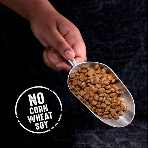 Miniatura 8 de Crave Comida con proteína para perros, libre de granos, adulto