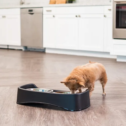 Miniatura 8 de IRIS USA Cuencos elevados para perros, soporte ajustable, estación de alimentación elevada con 2 cuencos de acero inoxidable de 64 onzas, protector